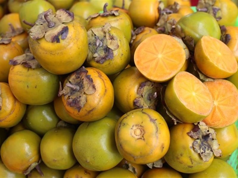 Bảo Lâm persimmons